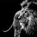 Jim Stanislaw - Facebook