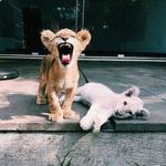 James Stankou - @jamesstankou - Instagram