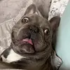 James Stano - @james.stano - TikTok