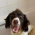 James Stansfield - @james_stansfield05 - Instagram