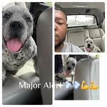 James Starks - @bj.nelson.102 - Instagram