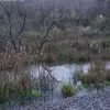 James Starrett - @james.starrett5 - TikTok