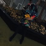 James Staton - @_officiallyjames_ - Instagram