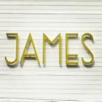 James St Clair - @fckrsstlmhff - Instagram
