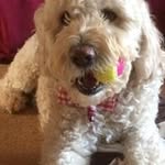 James Stearn - @jamessuff - Instagram