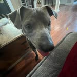 James Steele - @yellowsauce1 - Instagram