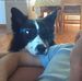 James Stefanski - Facebook
