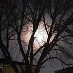 Travis James Steichen - @travissteichen - Instagram