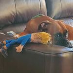 James Steinhauer - @james.steinhauer.7 - Instagram