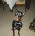 James Stemetzki - Facebook