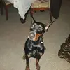 jamesstemetzki912 - @jamesstemetzki912 - TikTok