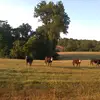James Stephens - @jamesstephens7282 - TikTok