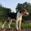 jamesstepp143 - @jamesstepp143 - TikTok