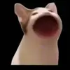 james-step-bro - @big.redballs - TikTok