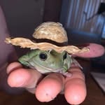James Sterner - @toadink205 - Instagram