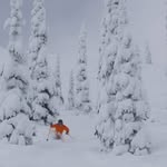 James Stickler - @jkstickler - Instagram