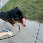 James Stillman Jr - @jamesstillmanjr - Instagram