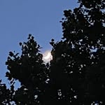 James Stoll - @james_stoll - Instagram
