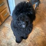David James Stolle - @dave_thedoodle - Instagram