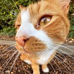 James Stonestreet - @jamy_3s - Instagram