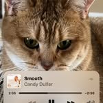 James Storment - @storment279 - Instagram