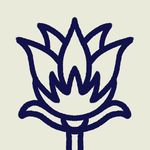 James Stow - @say.know.more - Instagram