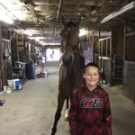 James St Peter - @jamesloveshorses - Instagram