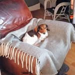 James St-Pierre - @james319343 - Instagram