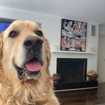 James Strapp - @james.strapp - Instagram