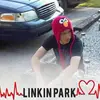 David James Strauch - @davidjamesstrauch - TikTok