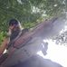 James Staruch - Facebook