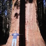 James Strayer - @jamesstrayer60 - Instagram