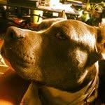 James Strecker - @ballquantboard - Instagram