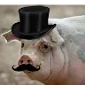James Streeter - @jamesstreeter1 - TikTok