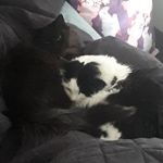 Stretch and James - @james_and_stretch - Instagram