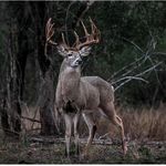 @james_stricker_ - Instagram