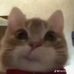 James Strife - Facebook