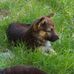 James Strife - Facebook