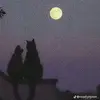 James_Stiglets - @james_stiglets - TikTok