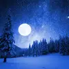 Jameson Stripener - @jameson.stripener - TikTok