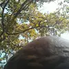 James Stripling - @james.stripling - TikTok