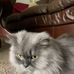 James Strive - Facebook
