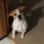 Hunter James Strobel - @strobel.hunter - Instagram