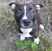 James JT Stroh - Facebook