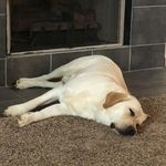 James stroh - @jamesstroh4315 - Instagram