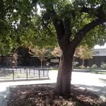 James Madison Student Fan Page - @ja.me.s.madison.student - Instagram