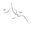 Student__James - @student__james - TikTok