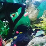 @jame_sstuff - Instagram