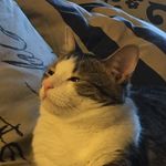 James Stumbaugh - @jss05001 - Instagram
