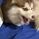 James Stumpff - @stumpff2622 - Instagram